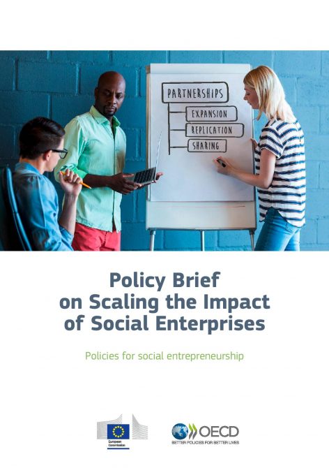 Policy-brief-Scaling-up-social-enterprises-EN (1)-page-001